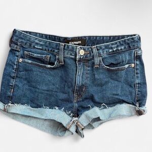 Express Shortie Relaxed Low Rise Distressed Denim Shorts - Size 10